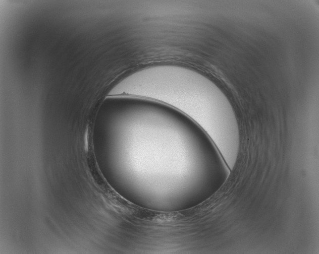 X0000076400076200610060940