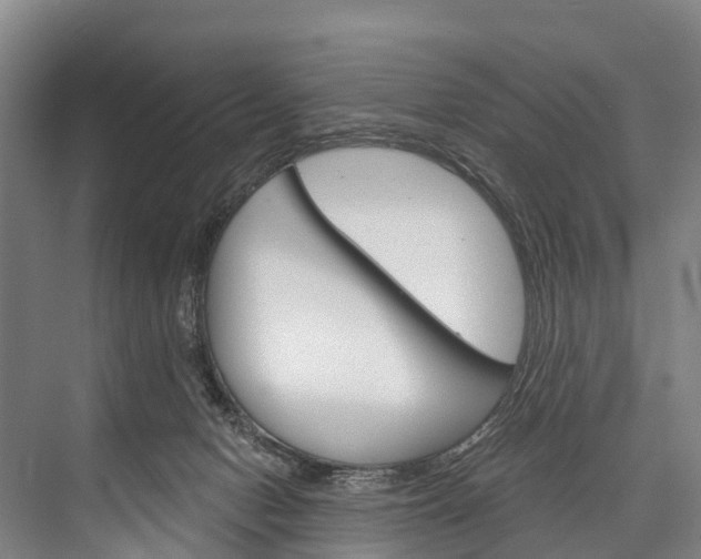 X0000076400078200610060940
