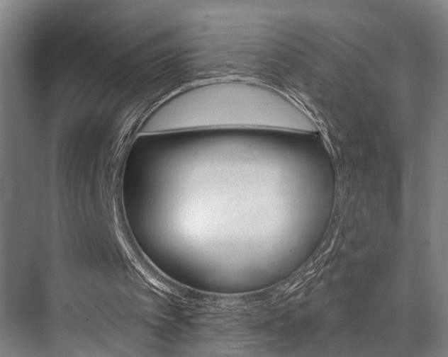 X0000076400097200610060940