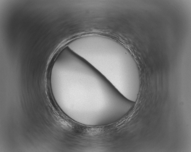 X0000076400102200610060940