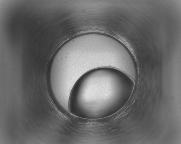 X0000076400105200610060940