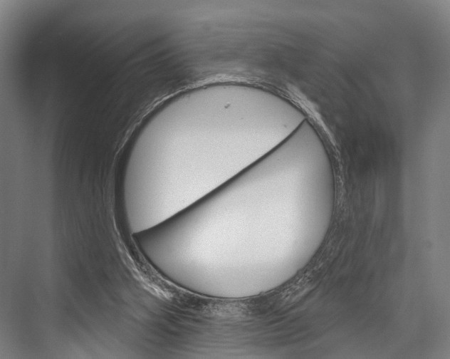 X0000076400106200610060940