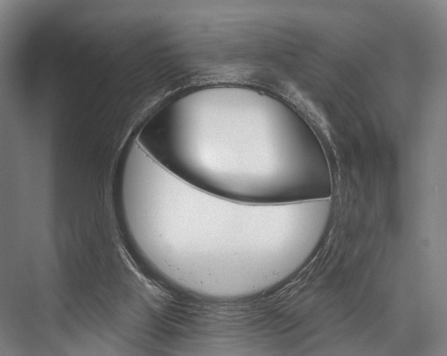 X0000076400107200610060940