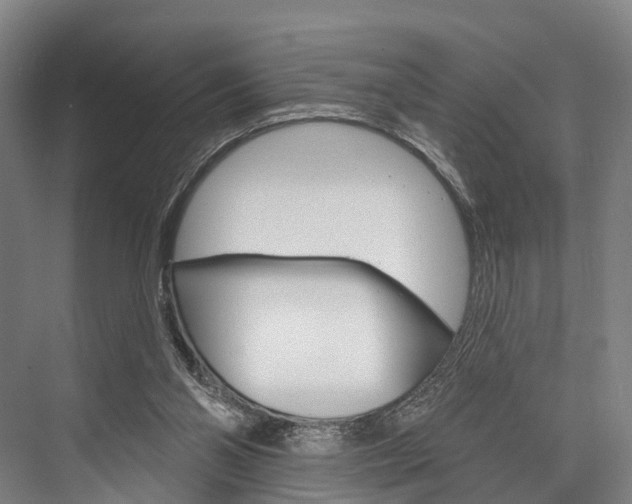 X0000076400110200610060940