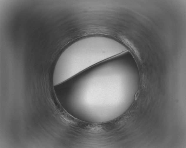 X0000076400113200610060940