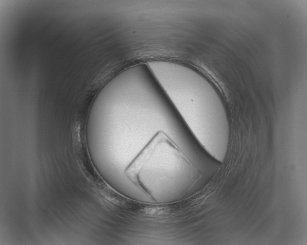 X0000076400117200610060939