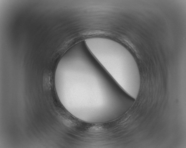X0000076400119200610060939