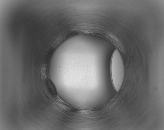X0000076400121200610060939