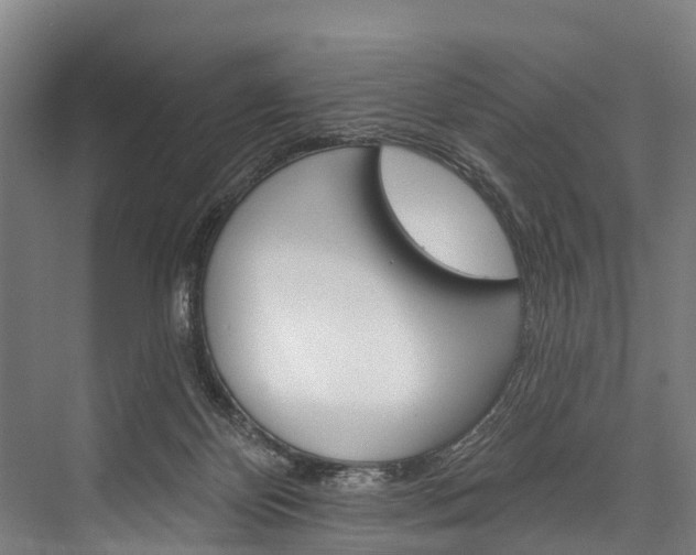 X0000076400124200610060939