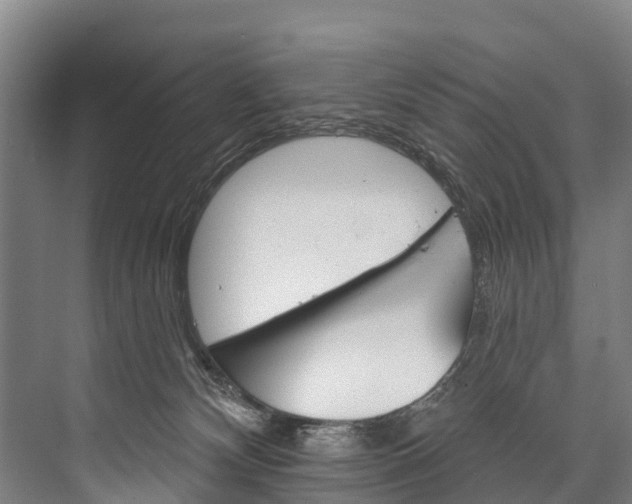 X0000076400132200610060939