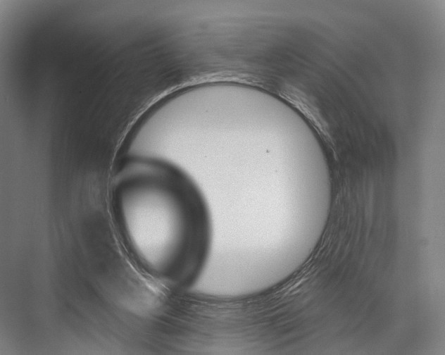 X0000076400156200610060938