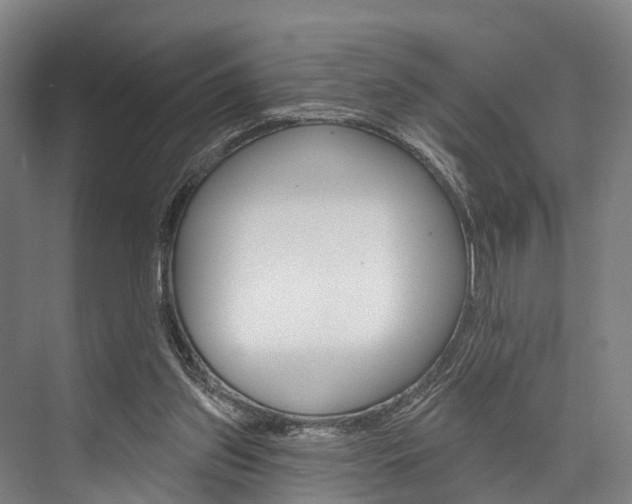 X0000076400157200610060938