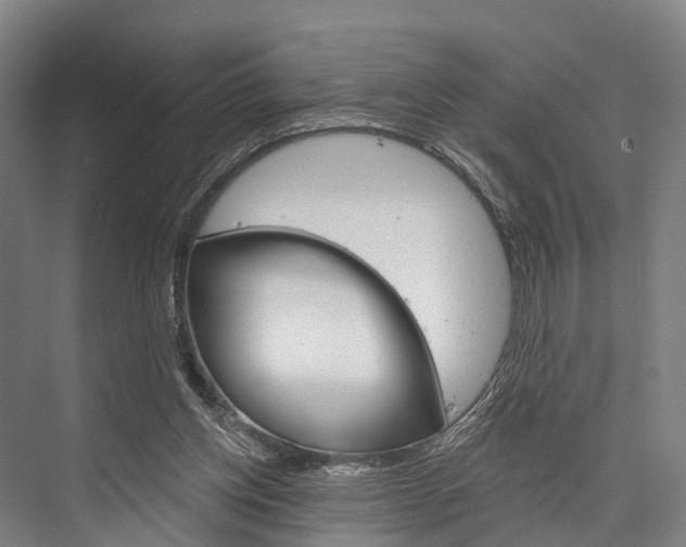 X0000076400158200610060938