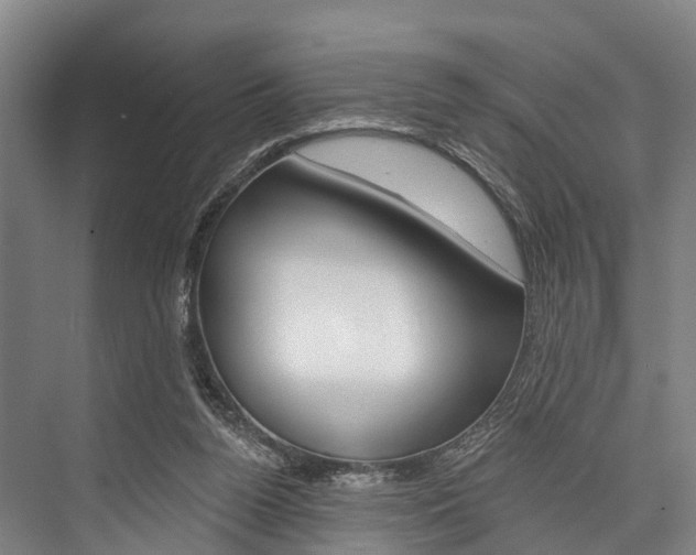 X0000076400160200610060938