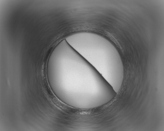X0000076400163200610060938