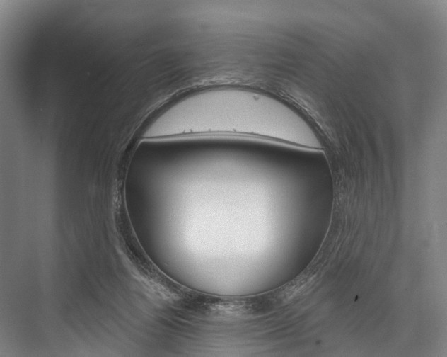 X0000076400164200610060939