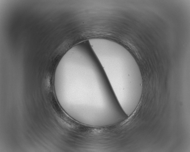 X0000076400166200610060939