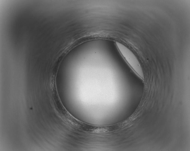 X0000076400168200610060939