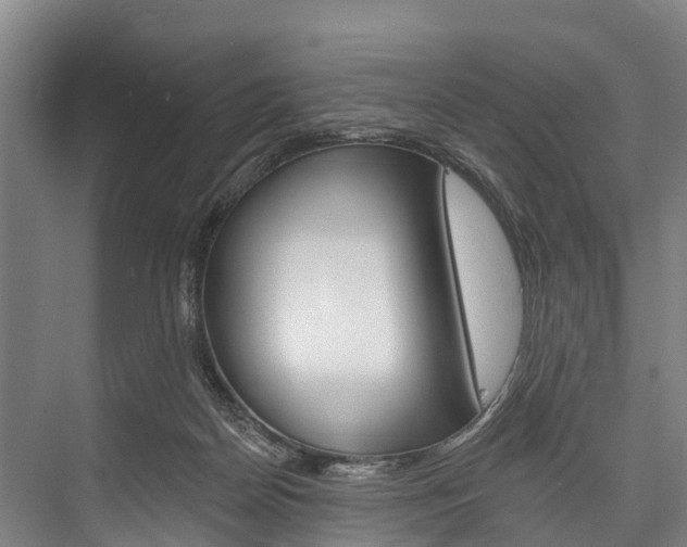 X0000076400170200610060939