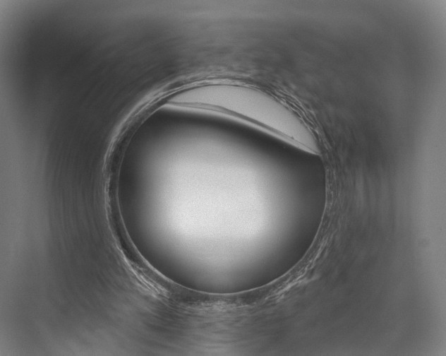 X0000076400197200610060938