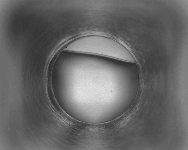 X0000076400199200610060938
