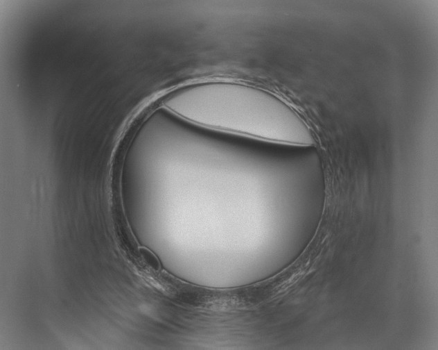 X0000076400200200610060938