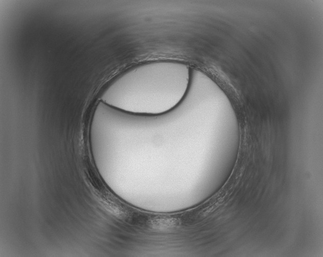 X0000076400202200610060938
