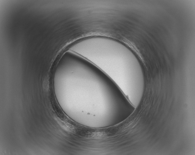 X0000076400204200610060938