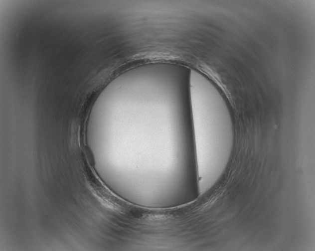 X0000076400205200610060938