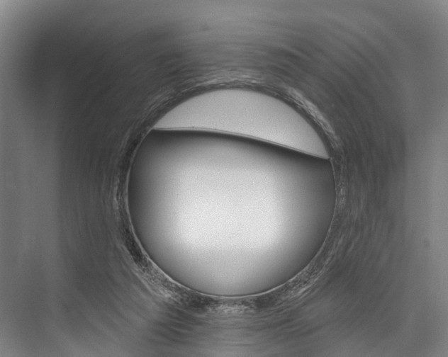 X0000076400209200610060938