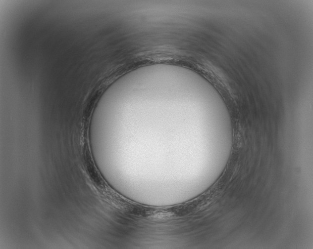 X0000076400210200610060938