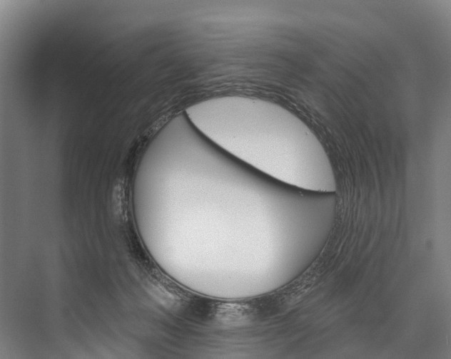 X0000076400222200610060938