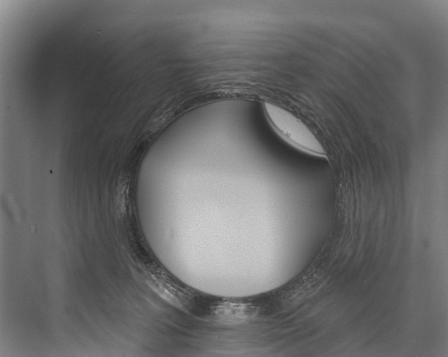 X0000076400227200610060938
