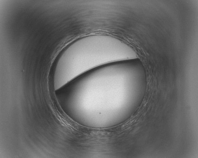 X0000076400242200610060937