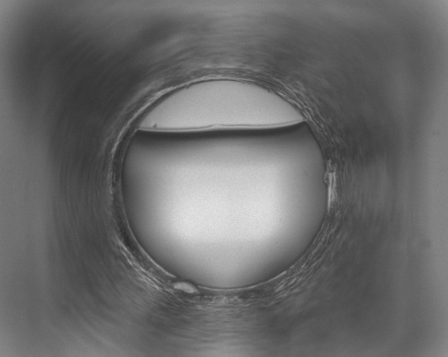 X0000076400243200610060937