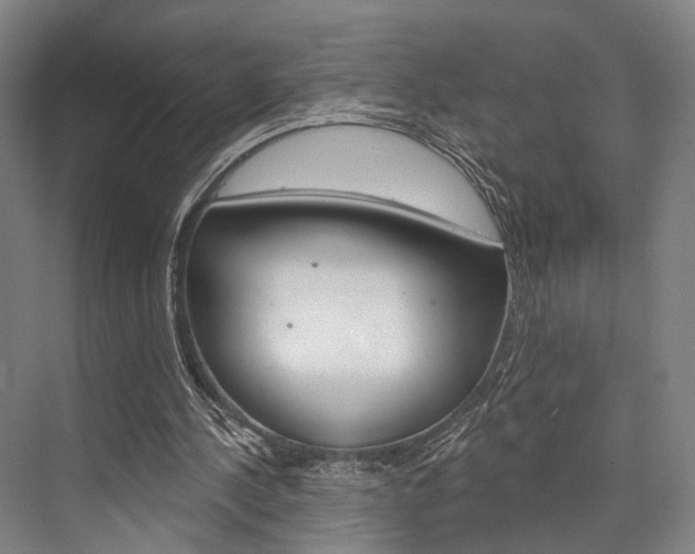 X0000076400244200610060937