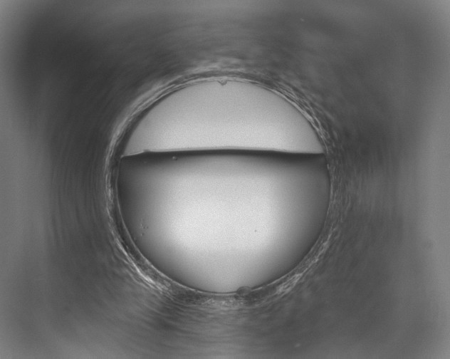 X0000076400245200610060937