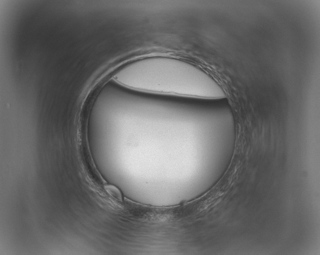 X0000076400247200610060937