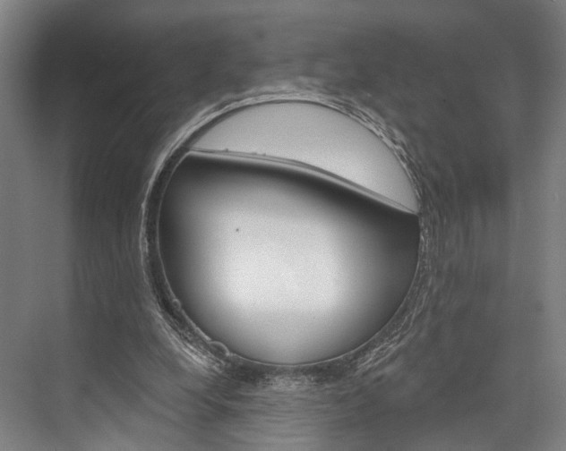 X0000076400248200610060937