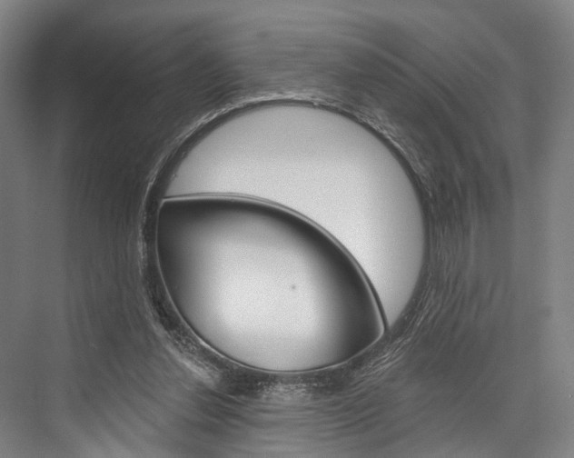 X0000076400252200610060937