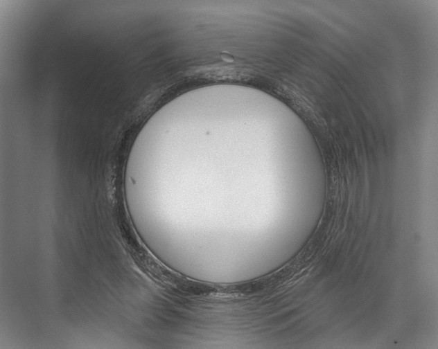 X0000076400255200610060937