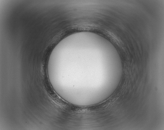 X0000076400258200610060937