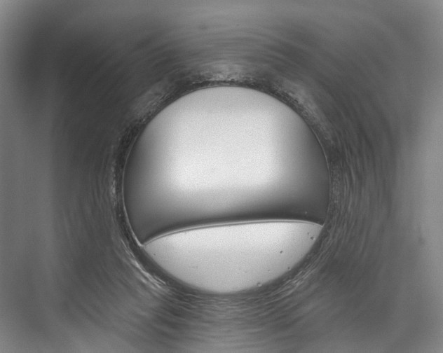 X0000076400261200610060937