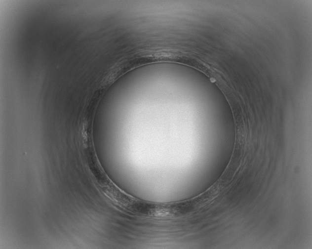 X0000076400264200610060937