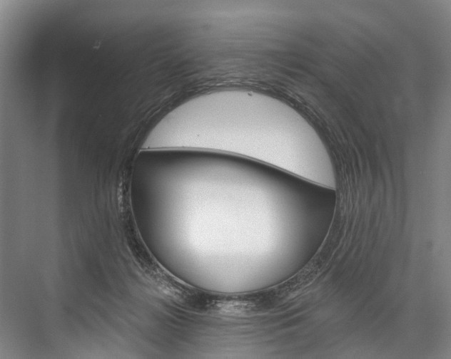 X0000076400268200610060937