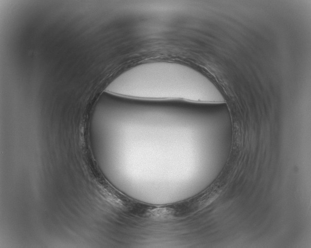 X0000076400269200610060937