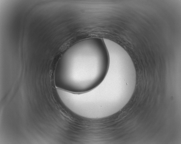 X0000076400275200610060937