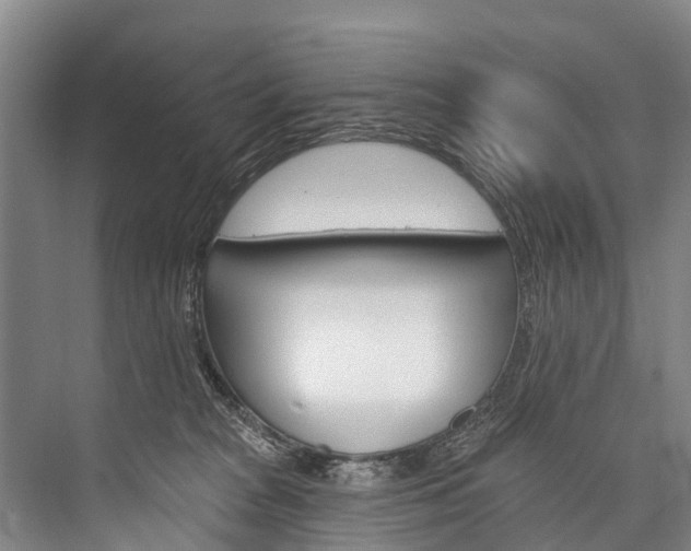 X0000076400277200610060937