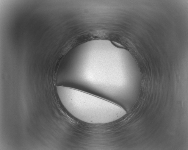 X0000076400285200610060937