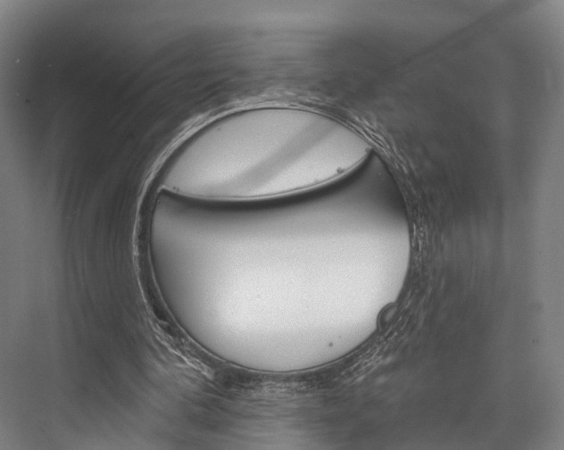 X0000076400292200610060937